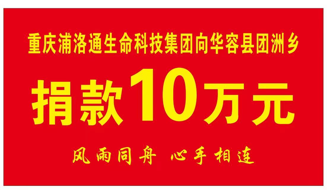 重庆88858cc永利官网集团
